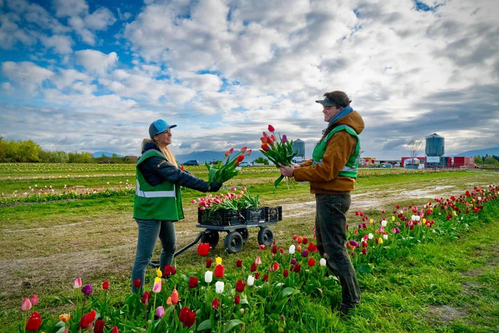 Why Tulip Valley Farms