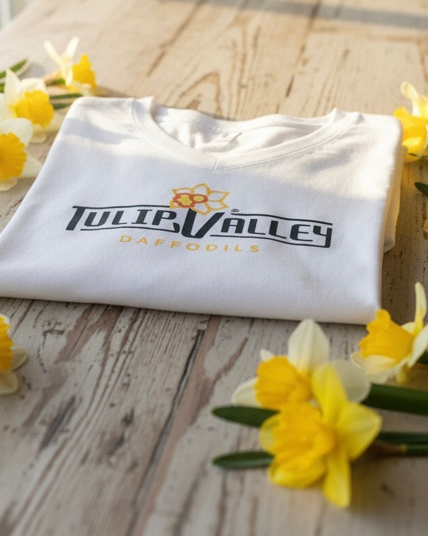Tulip Valley Daffodils - Full Color