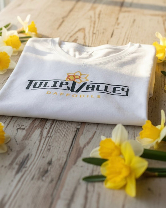 Tulip Valley Daffodils - Full Color