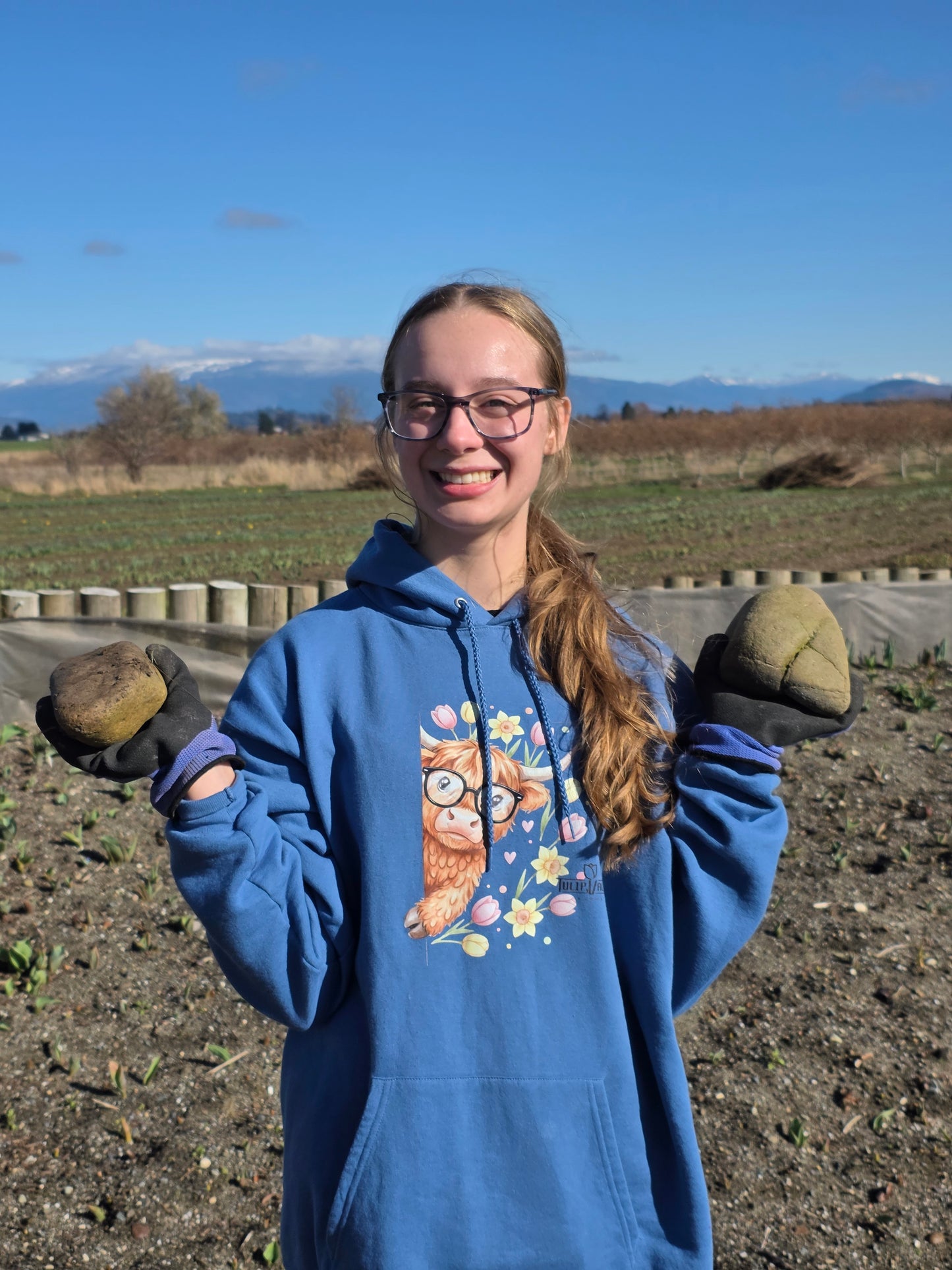 Tulip Cow Sweatshirt