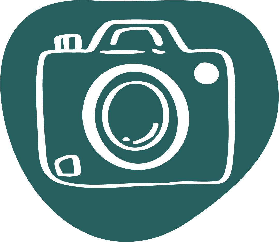 Tulip Valley Farms camera icon