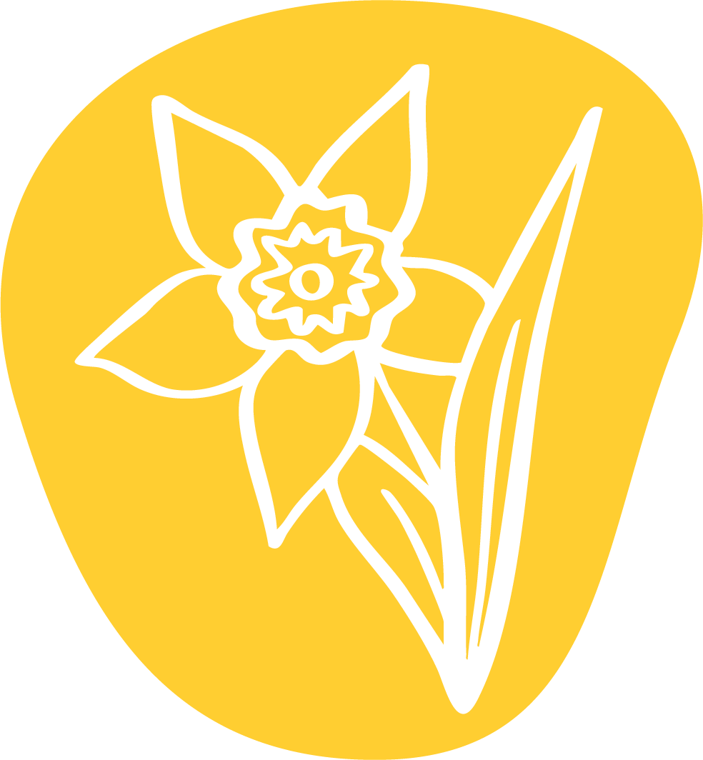 Tulip Valley Farms Daffodil Icon