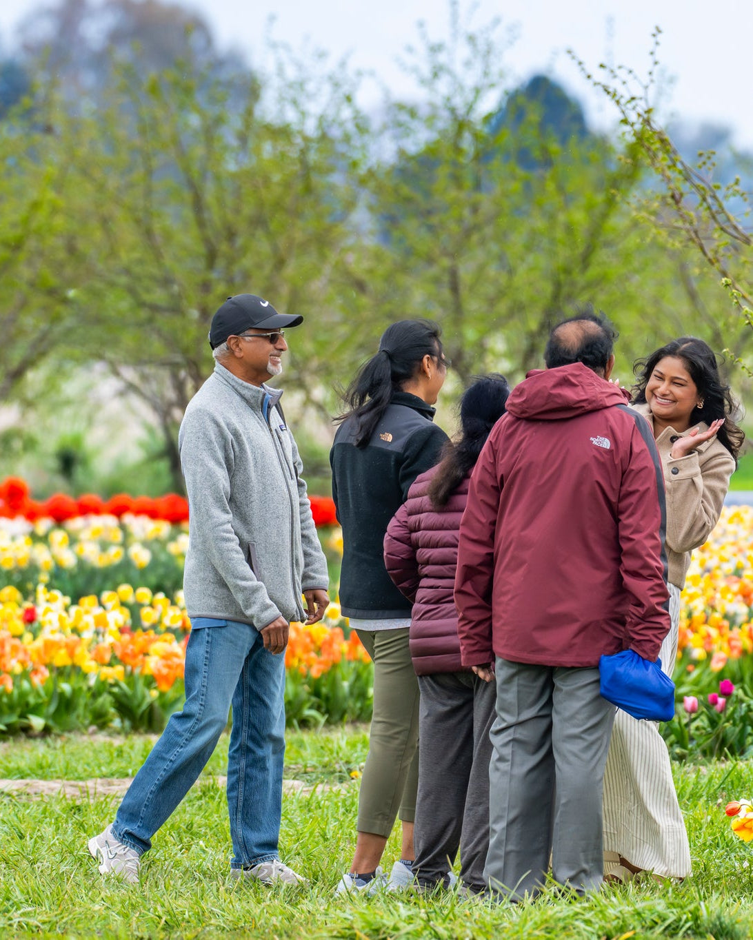 Family gathering and smiling in the tulip fields