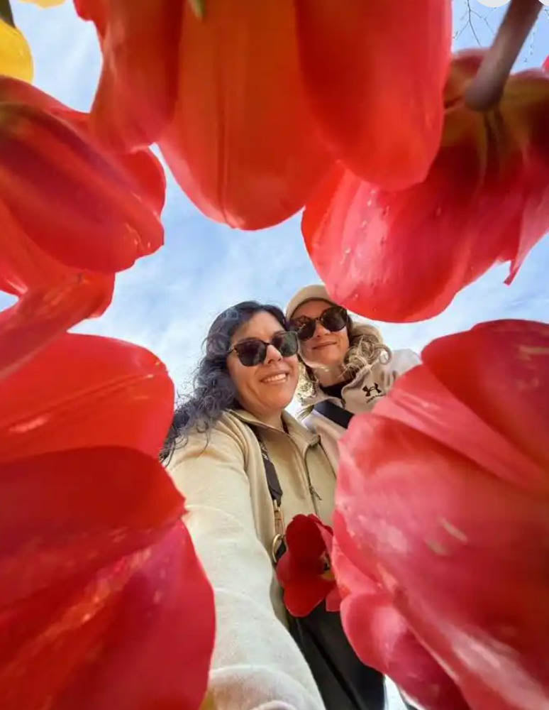 Tulip Valley Farms visitors during Tulip Festival