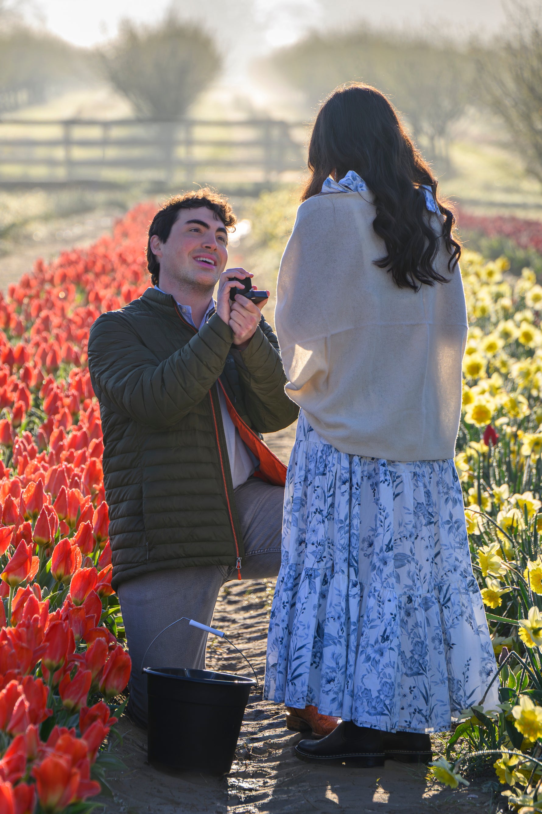 A man kneels in between rows of tulips to propose marriage to a woman at sunrise
