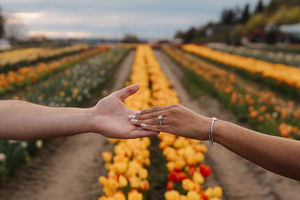 A man and woman reach across a row of yellow tulips showing off the engagement from the marriage proposal
