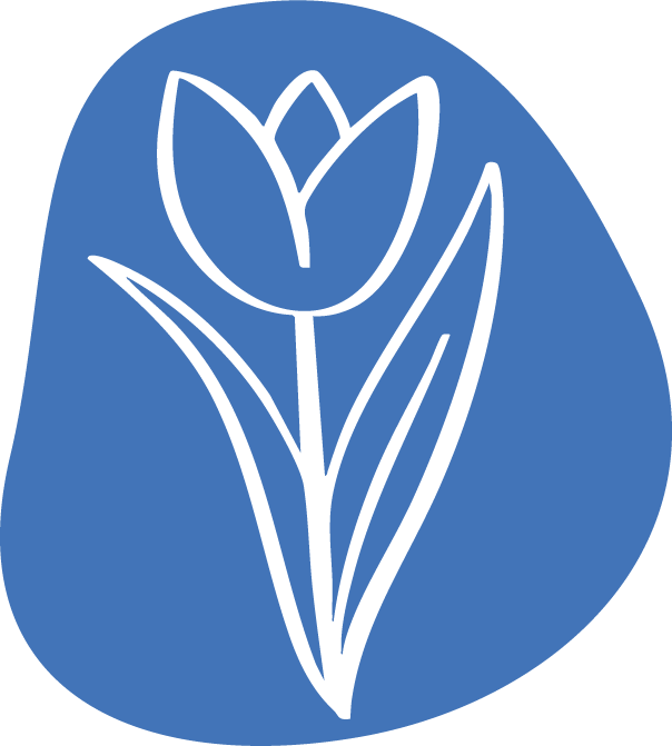 Tulip Valley Farms Tulip Icon