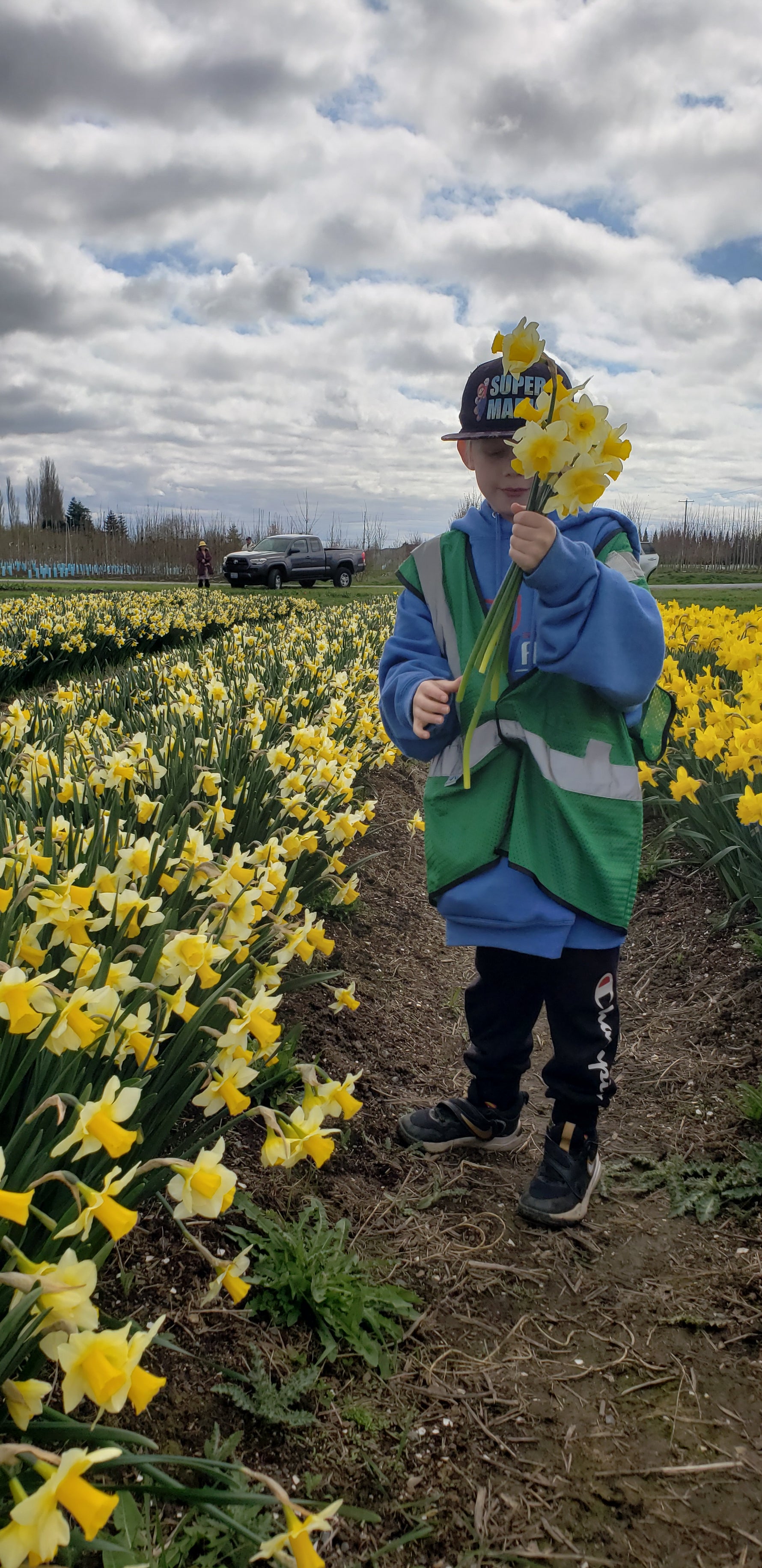 Child with U-Pick Daffodils at Tulip Valley Farms