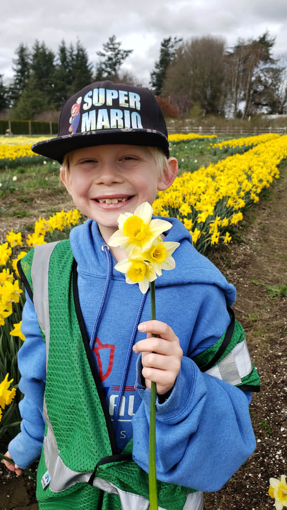 Child with U-Pick Daffodil at Tulip Valley Farms
