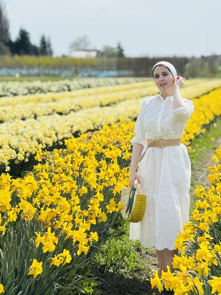 Woman in the daffodil fields at Tulip Valley Farms
