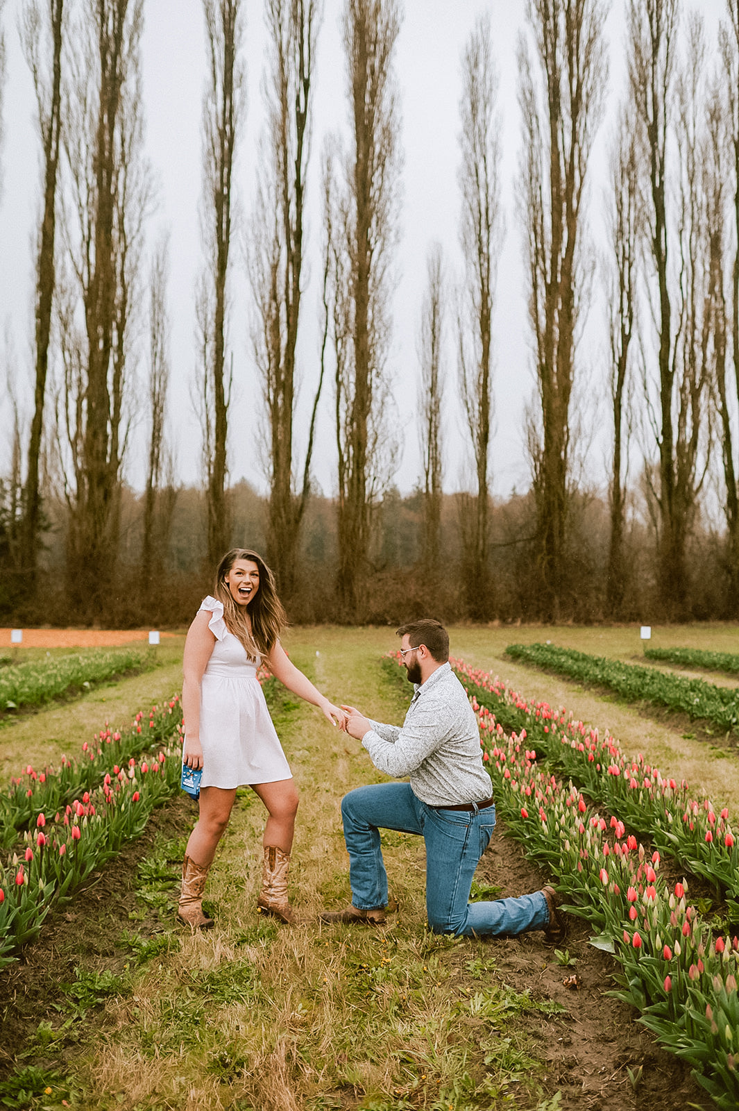 Couple getting engaged in the tulips at Tulip Valley Farms