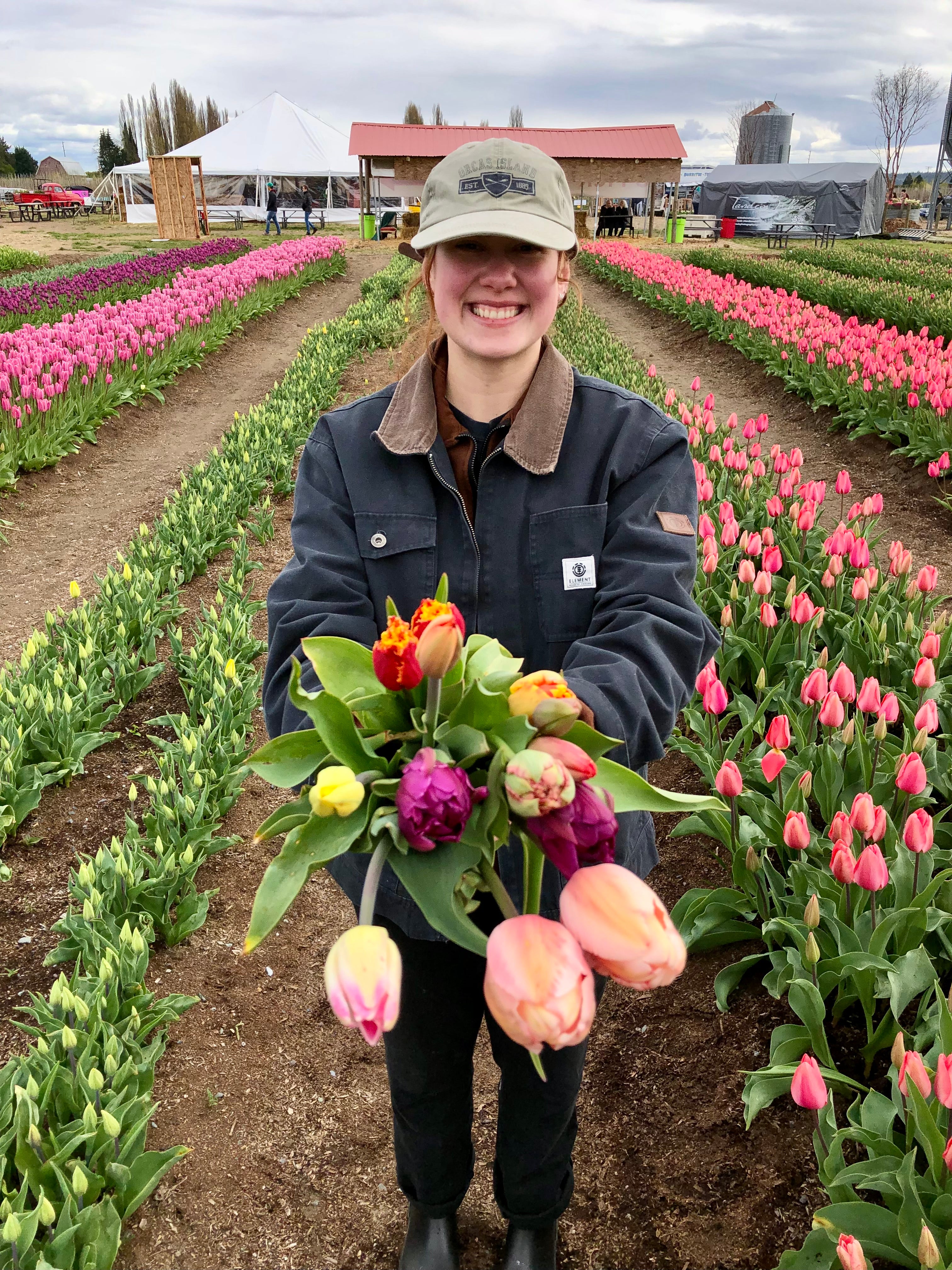 Person holding a bouquet of tulips at Tulip Valley Farms