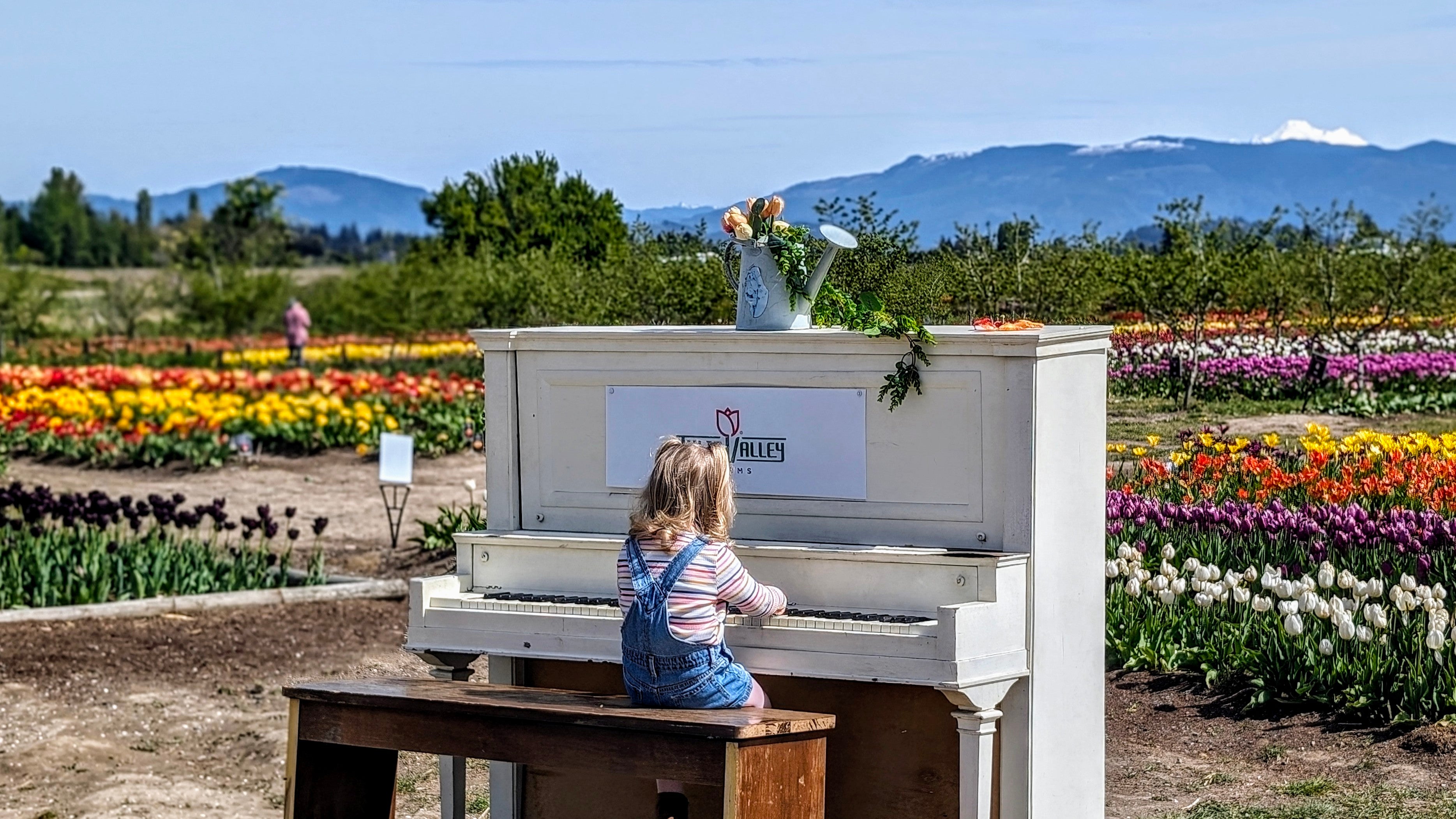 Little girl playing a piano in the tulip fields at Tulip Valley Farm during the Tulip Festival