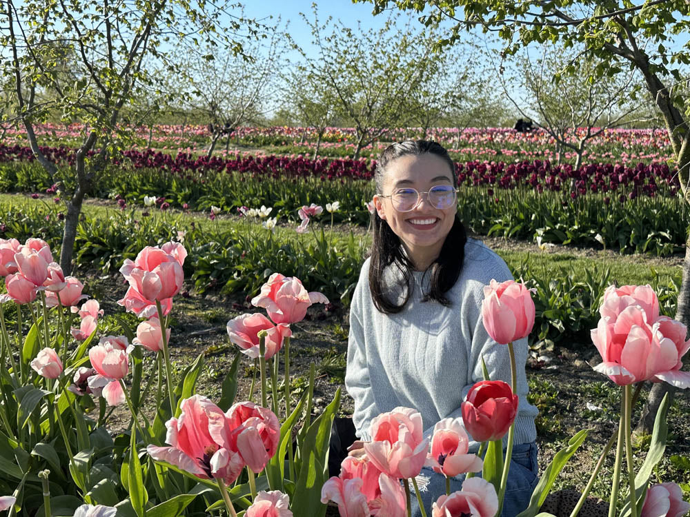 Person standing among pink tulips in a field with rows of flowers at Tulip Valley Farms