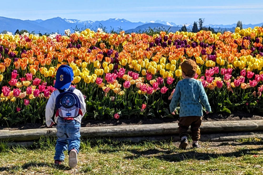 Young visitors at Tulip Valley Farms during Tulip Festival