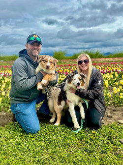Two people with two dogs in a field of tulips at Tulip Valley Farms