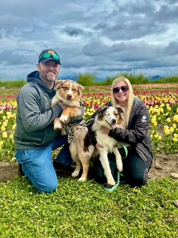 Two people with two dogs in a field of tulips at Tulip Valley Farms