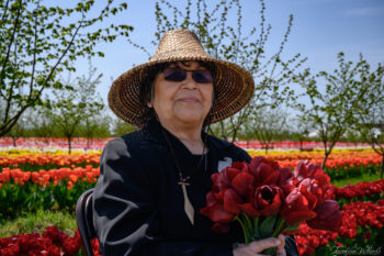 Older Native American woman wearing native hat sitting in tulip field holding bouquet of red tulips