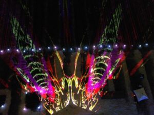 Night Bloom is a laser light display at Tulip Valley Farms