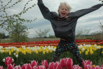 Boy jumping happily in tulip field with pink, yellow, white, and red tulips