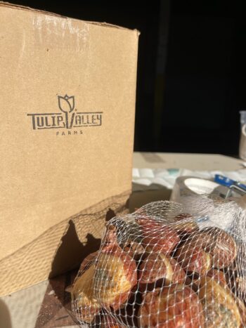 Shipping tulip bulbs