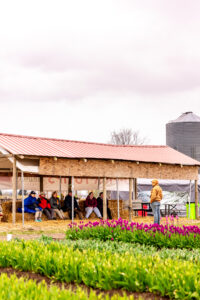 Tulip Talk with Farmer Andrew