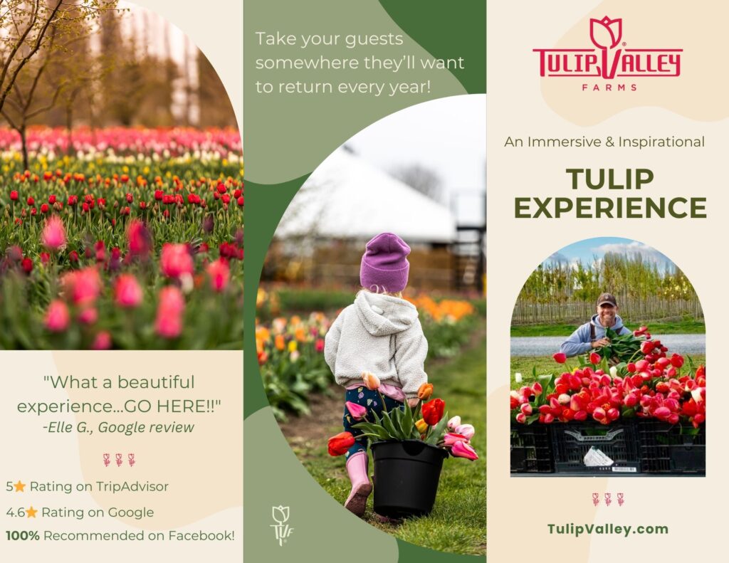 Tour Brochure for Tulip Valley Farms